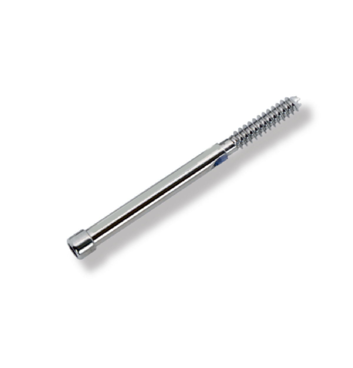 Orthopedic Implants